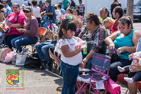 Charro-Saturday Parade 2-24-2018 (1)