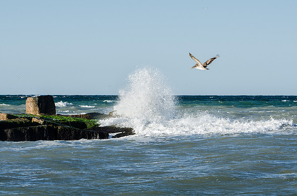 The Jetties